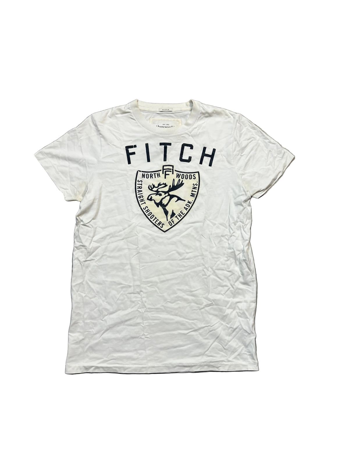 Abercrombie & Fitch slim muscle fit tee L